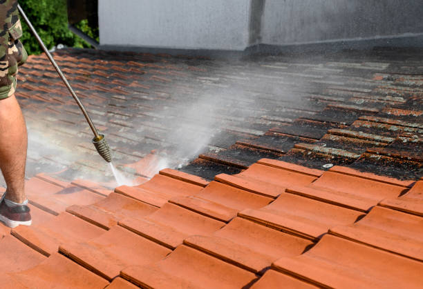 Best Affordable Pressure Washing  in Ransom Canyon, TX